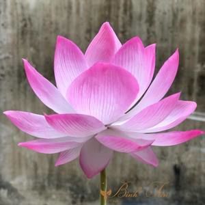 Meet your Posher, Liz